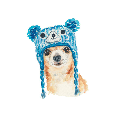 Knitterly Greeting Cards: Animals