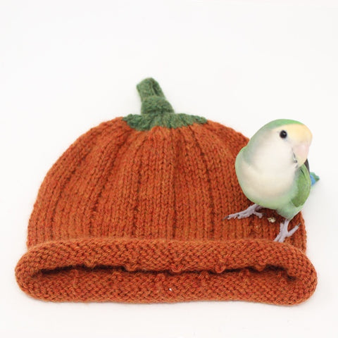 Pumpkin Beanie Kit PRE-ORDER